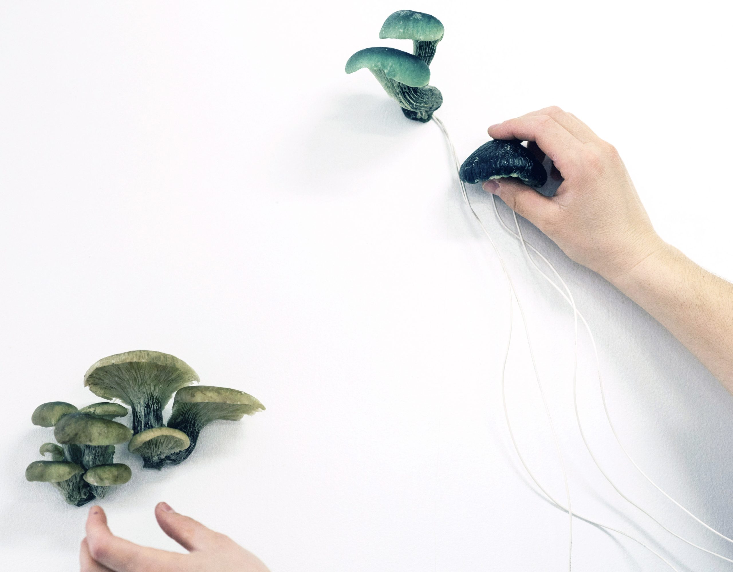 Amélie Brindamour, Nous sommes tous signaux, 2021, œuvre sculpturale sonore et lumineuse interactive (champignons moulés en résine, microcontrôleur, haut-parleur, fils électriques). Crédit photo : Llamaryon.